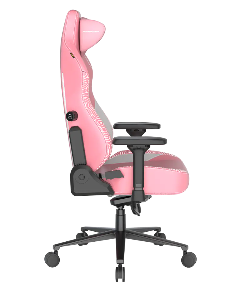 DXRacer Gaming Chair Human Cat Size L EPU - Image 2