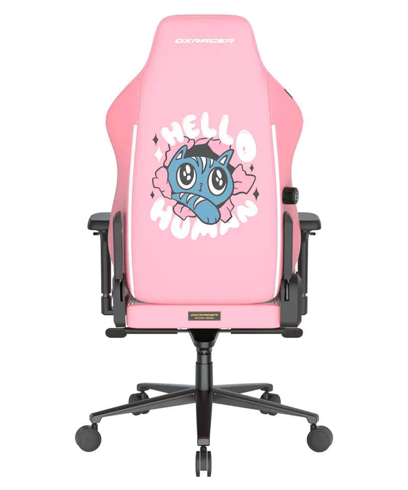 DXRacer Gaming Chair Human Cat Size L EPU - Image 4